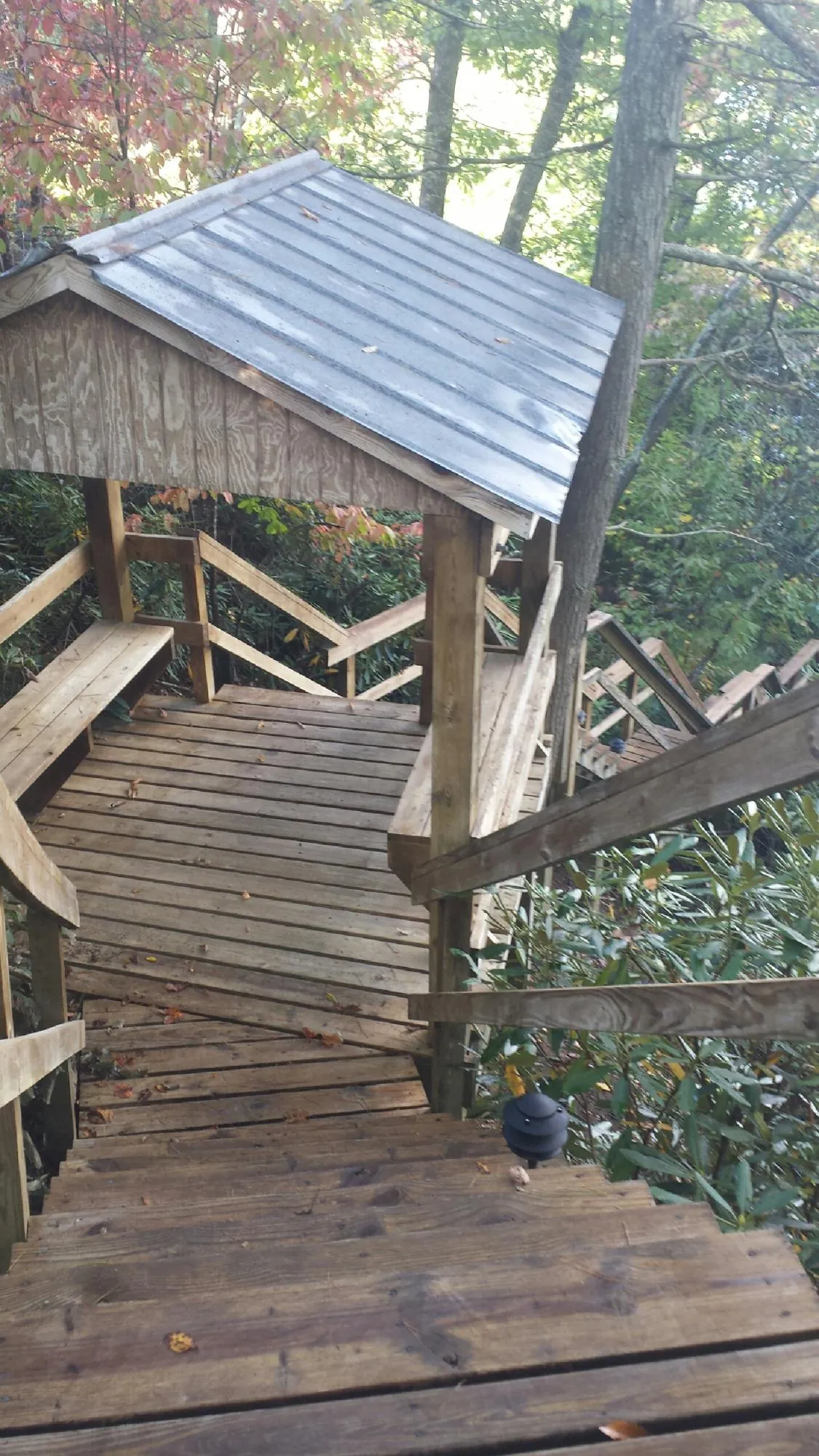 Metal roofed shelter over wooden steps on a wooded walkway — Skylight Repair & Installation work by our crew in Delmar